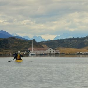 Kayak Half day Eberhard: “Aguas de Colonos” (AM)